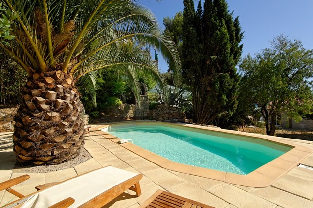 palmier au bord d'une piscine coque alliance dans le Var