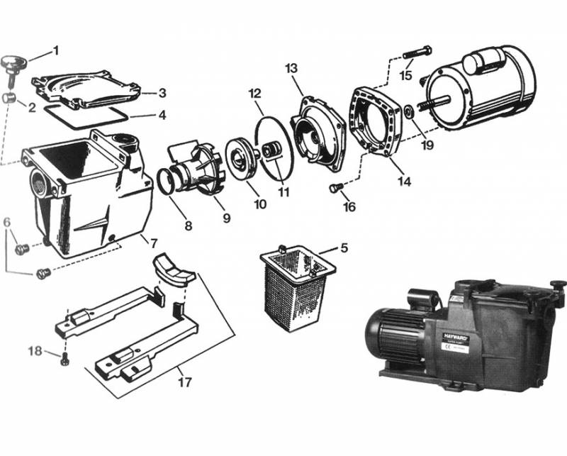 SAV Alliance Piscines TOULON VAR