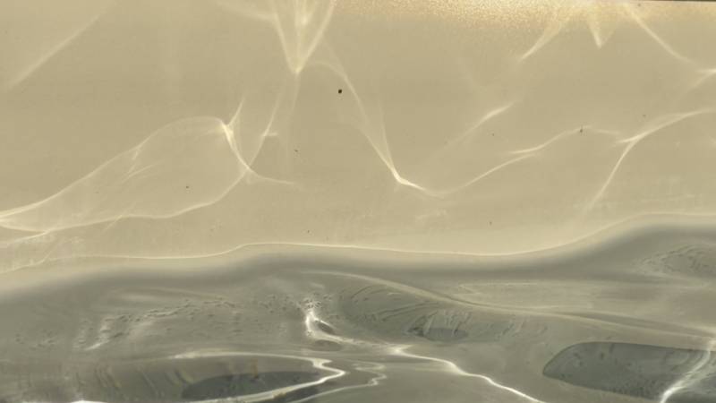 Piscine design couleur Vert Luberon devant maison contemporaine, eau gris-vert élégante avec plage en pierre et végétation.