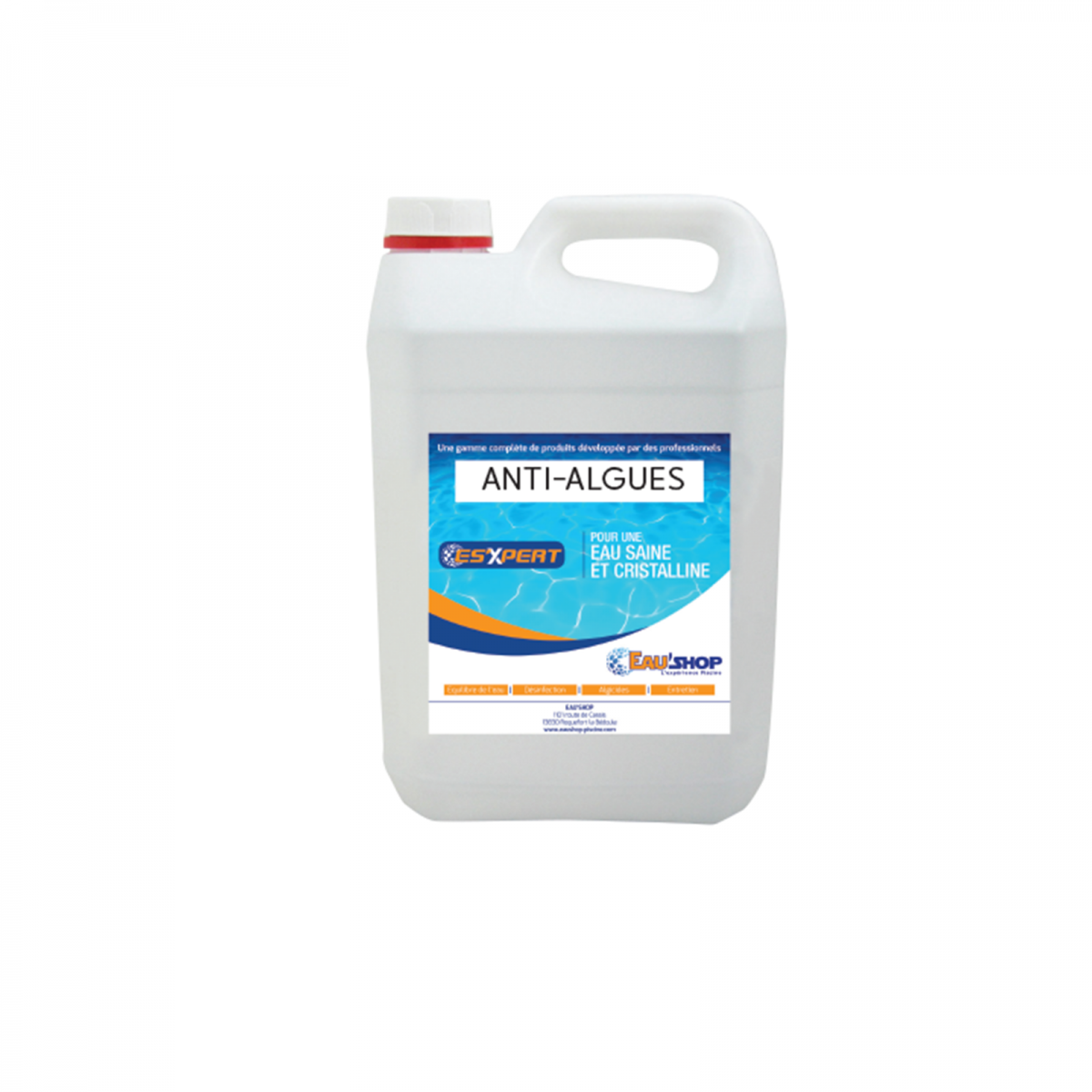 traitement algues piscine