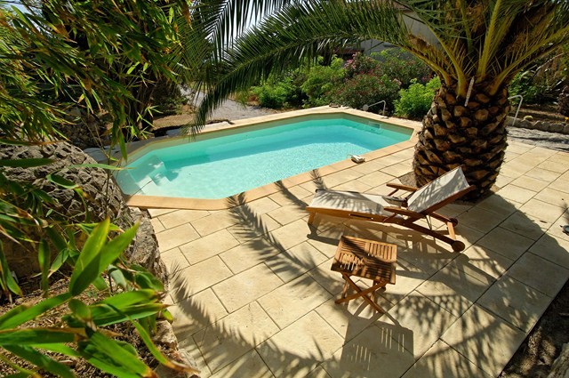 piscine dans jardin avec terrasse