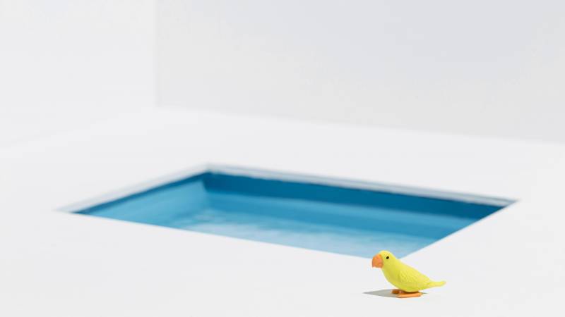 Exemple de mini piscine coque polyester installée dans un petit jardin : une solution esthétique et compacte, idéale pour profiter des beaux jours sans formalités administratives.