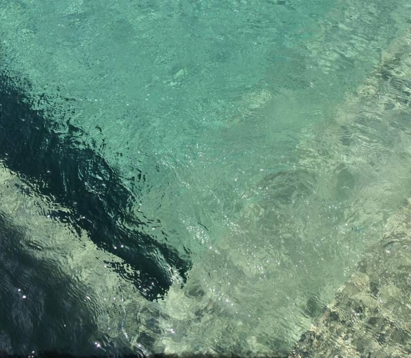 Piscine coque polyester Vert bali avec margelles en pierre et jardin paysagé, couleur gris-vert tendance et naturelle.